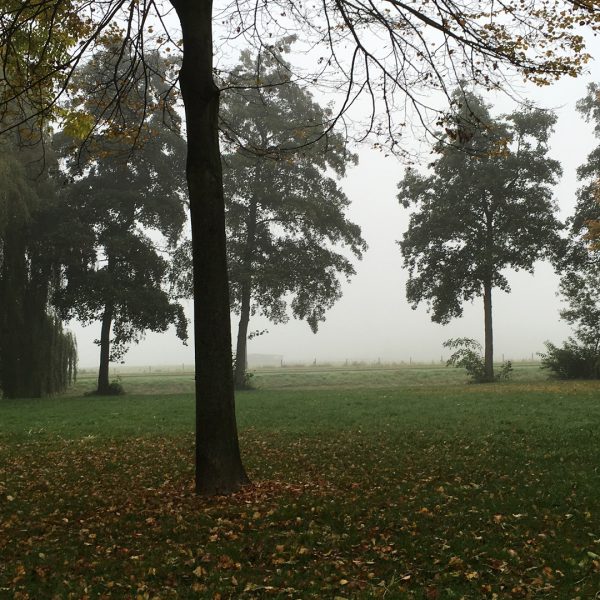 Goed verzekerd tijdens de herfstvakantie